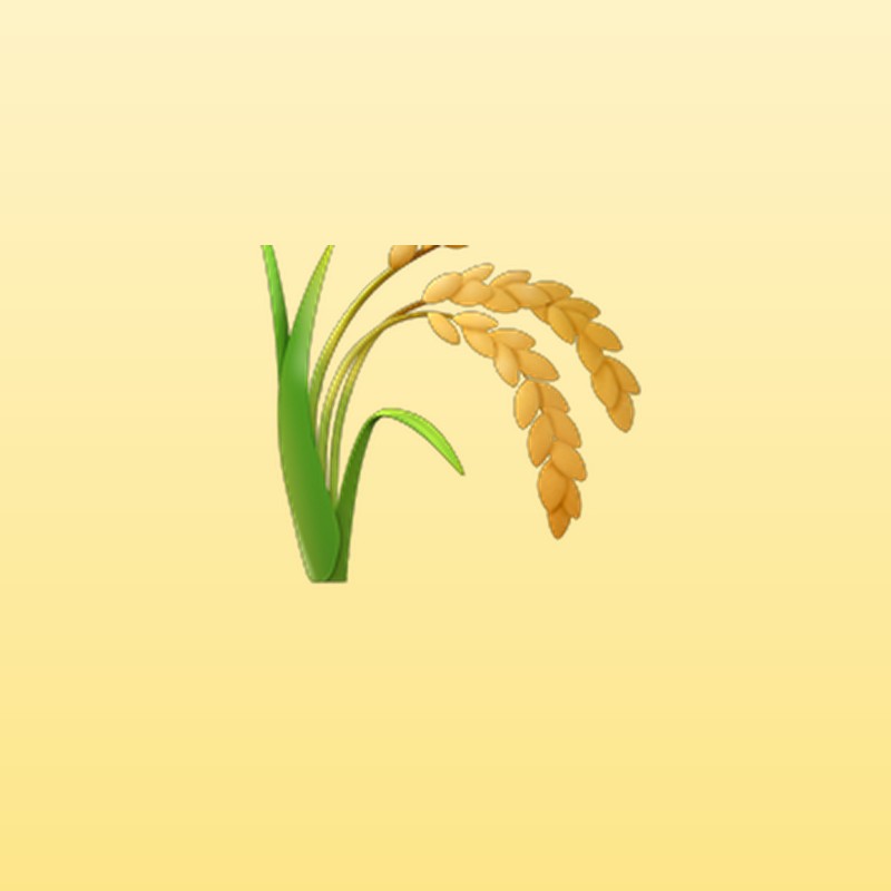 Jasmine rice 5kg